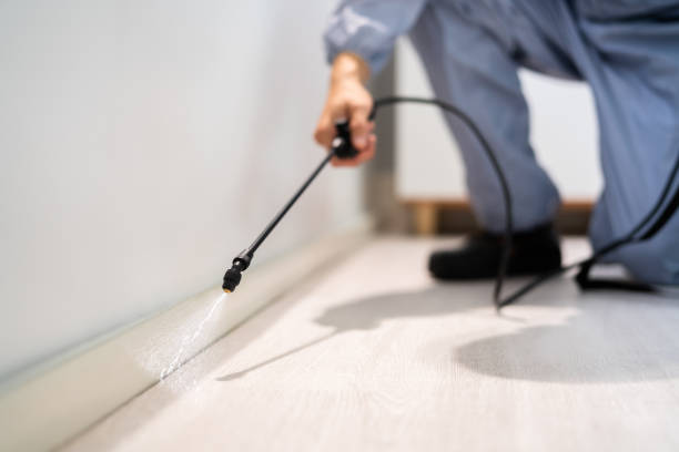 Licensed Fumigation Services service in Adams County County, IL - Nex Pest Control